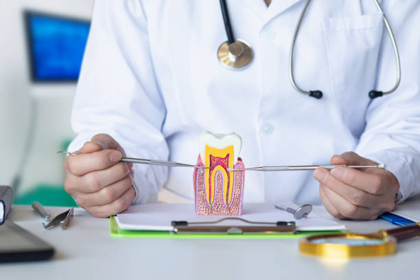 Best Emergency TMJ Treatment in Harmony, PA